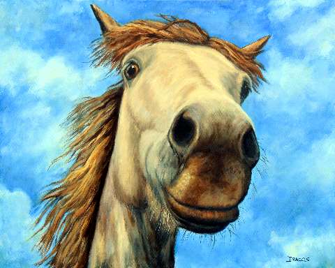 480x384 Dog Paintings (And Cat And Other Animals) By Dottie Dracos - Big Horse Painting