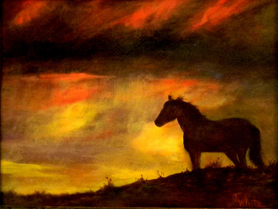 900x677 Big Sky Painting By Judie White - Big Horse Painting