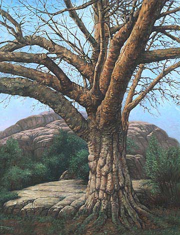 360x469 Painting A Tree In Oil Paints - Big Tree Painting
