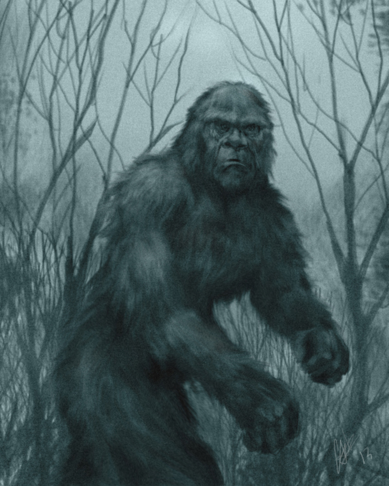 800x1000 Bigfoot By Chrisscalf - Bigfoot Painting