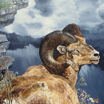 366x366 Bighorn Sheep - Bighorn Sheep Painting