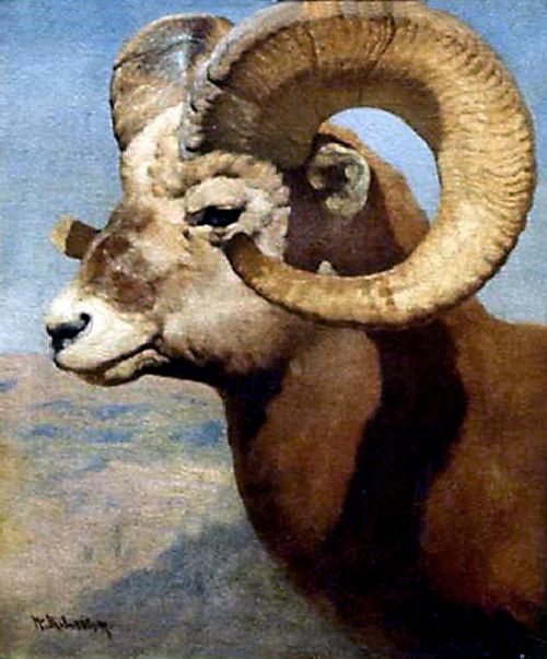 500x603 Bighorn Sheep Painting William Robinson Leigh Oil Paintings - Bighorn Sheep Painting