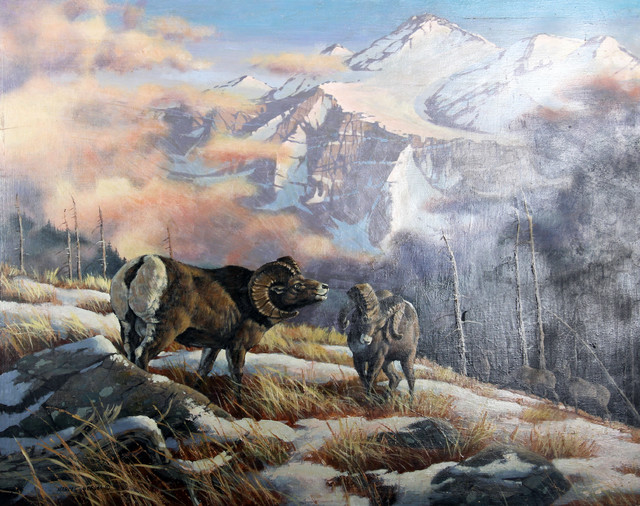 Bighorn Sheep Painting at PaintingValley.com | Explore collection of ...