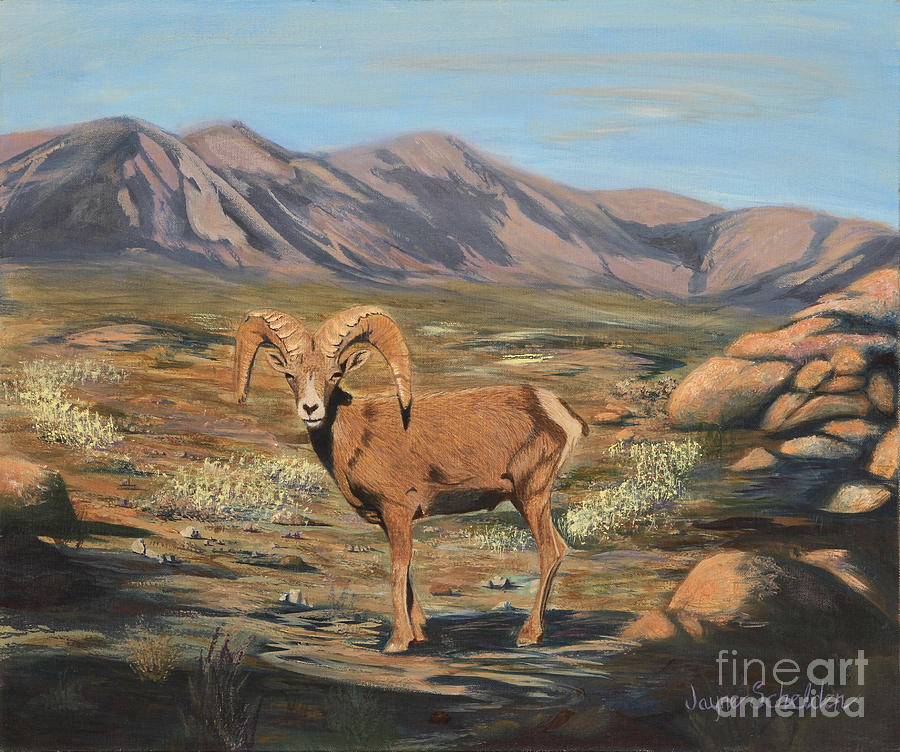 900x752 Nevada Desert Bighorn Sheep Painting By Jayne Schelden - Bighorn Sheep Painting