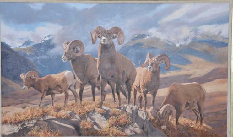 742x436 Original Oil Painting On Canvas Of Portraying 5 Big Horn Sheep - Bighorn Sheep Painting