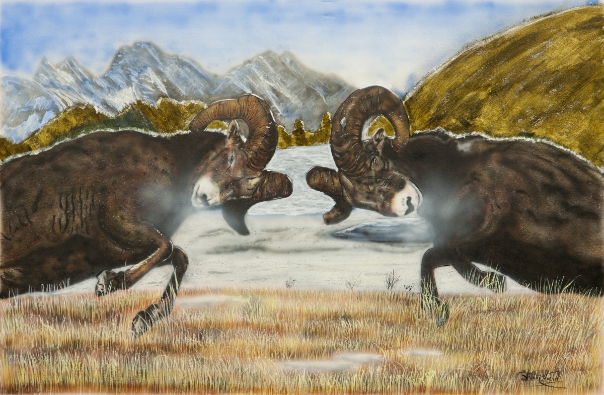 1200x785 Painting Bighorn Sheep The Rut (Original Art By Shawn Morrel) - Bighorn Sheep Painting