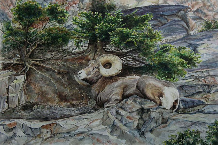 900x599 Solitary Ram - Bighorn Sheep Painting
