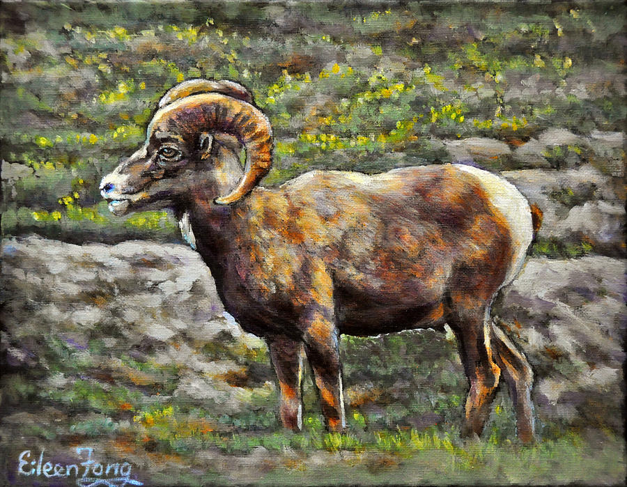900x699 The Bighorn Sheep Painting By Eileen Fong - Bighorn Sheep Painting