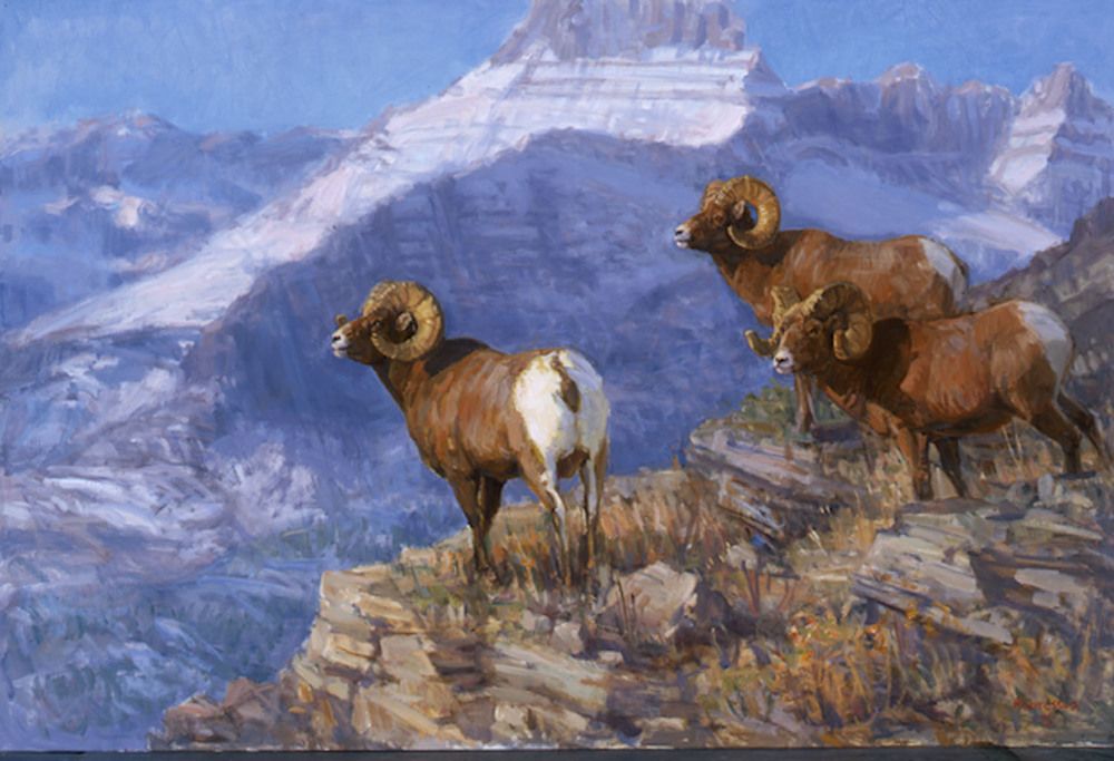 Bighorn Sheep Painting at PaintingValley.com | Explore collection of ...