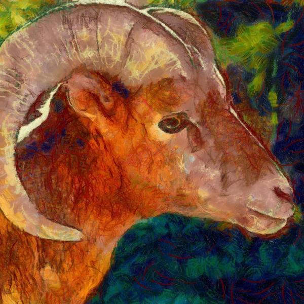 600x600 Art Print High Quality Oil Painting Bighorn Sheep Choose Your - Bighorn Sheep Painting