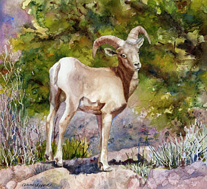 300x274 Big Horn Sheep Paintings Fine Art America - Bighorn Sheep Painting