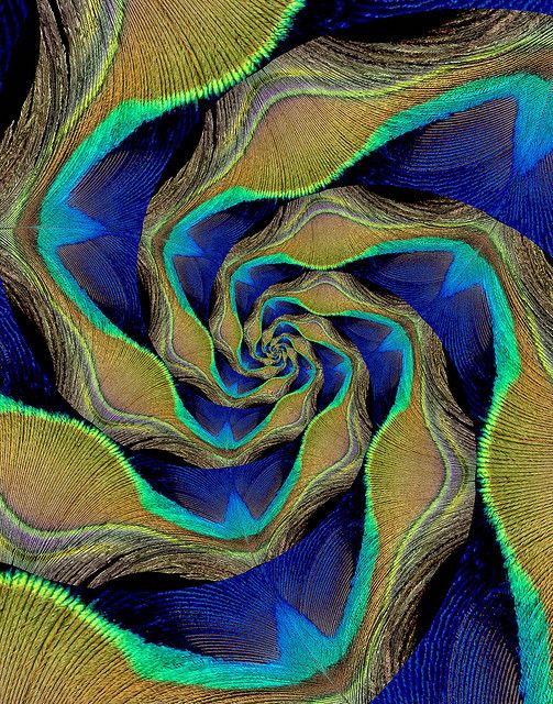 503x640 Marbling, Peacock By Bill Brown, Via Marbling - Bill Brown Painting