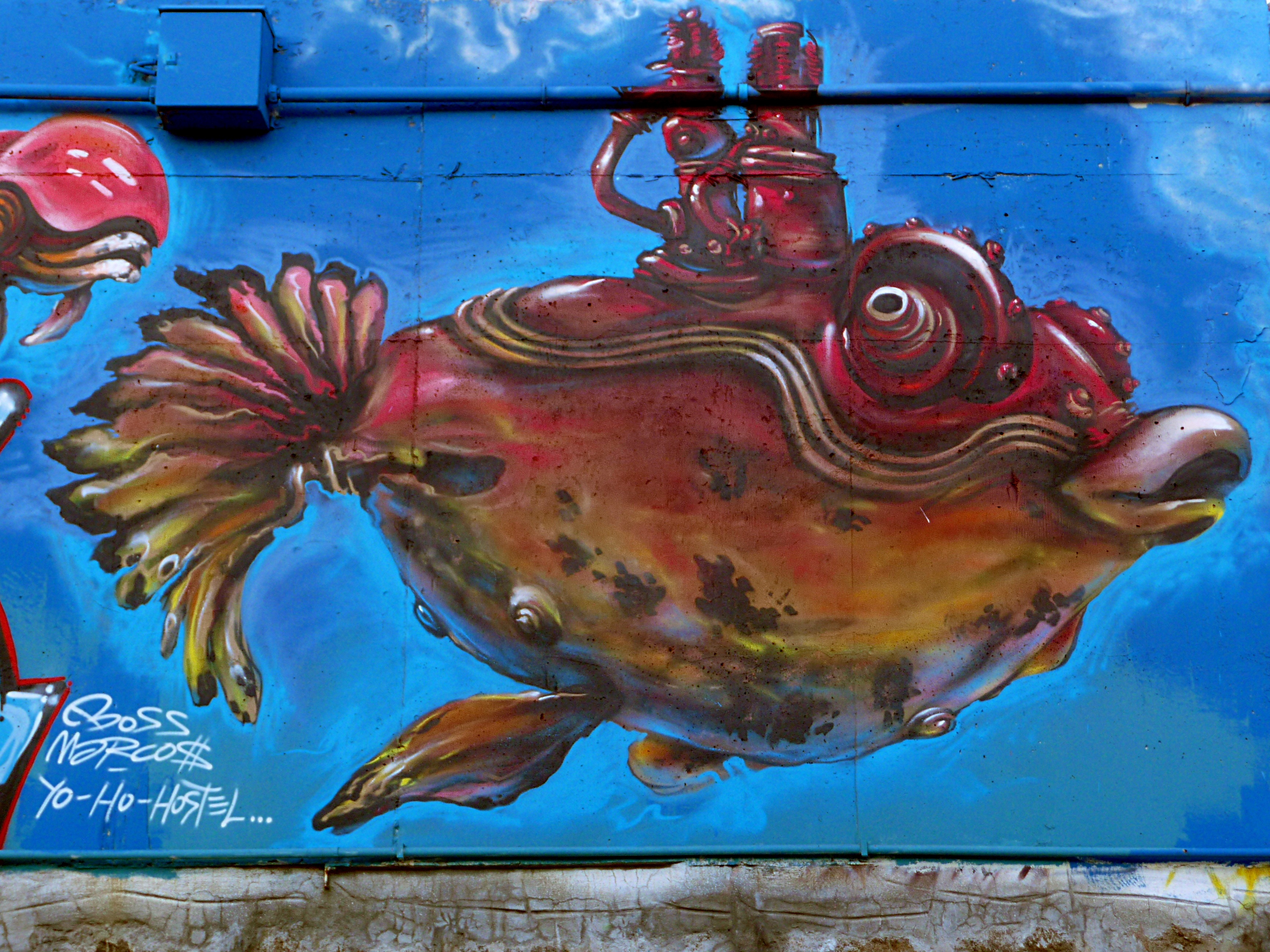 3456x2592 Free Images Wall, Red, Vehicle, Blue, Fish, Graffiti, Painting - Biology Painting