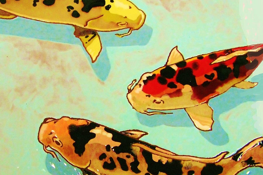 900x600 Wine And Painting Koi Fish Festival Of Arts Pageant Of The Masters - Biology Painting