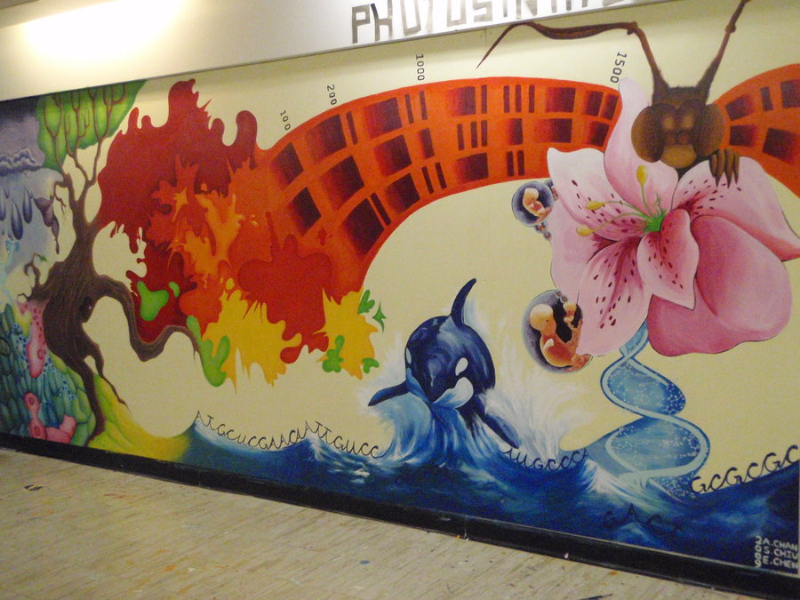 900x675 Biology Mural Complete By Colourblindxx - Biology Painting