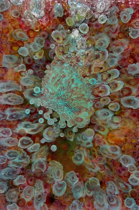 480x724 Laura Gurton - Biomorphic Painting