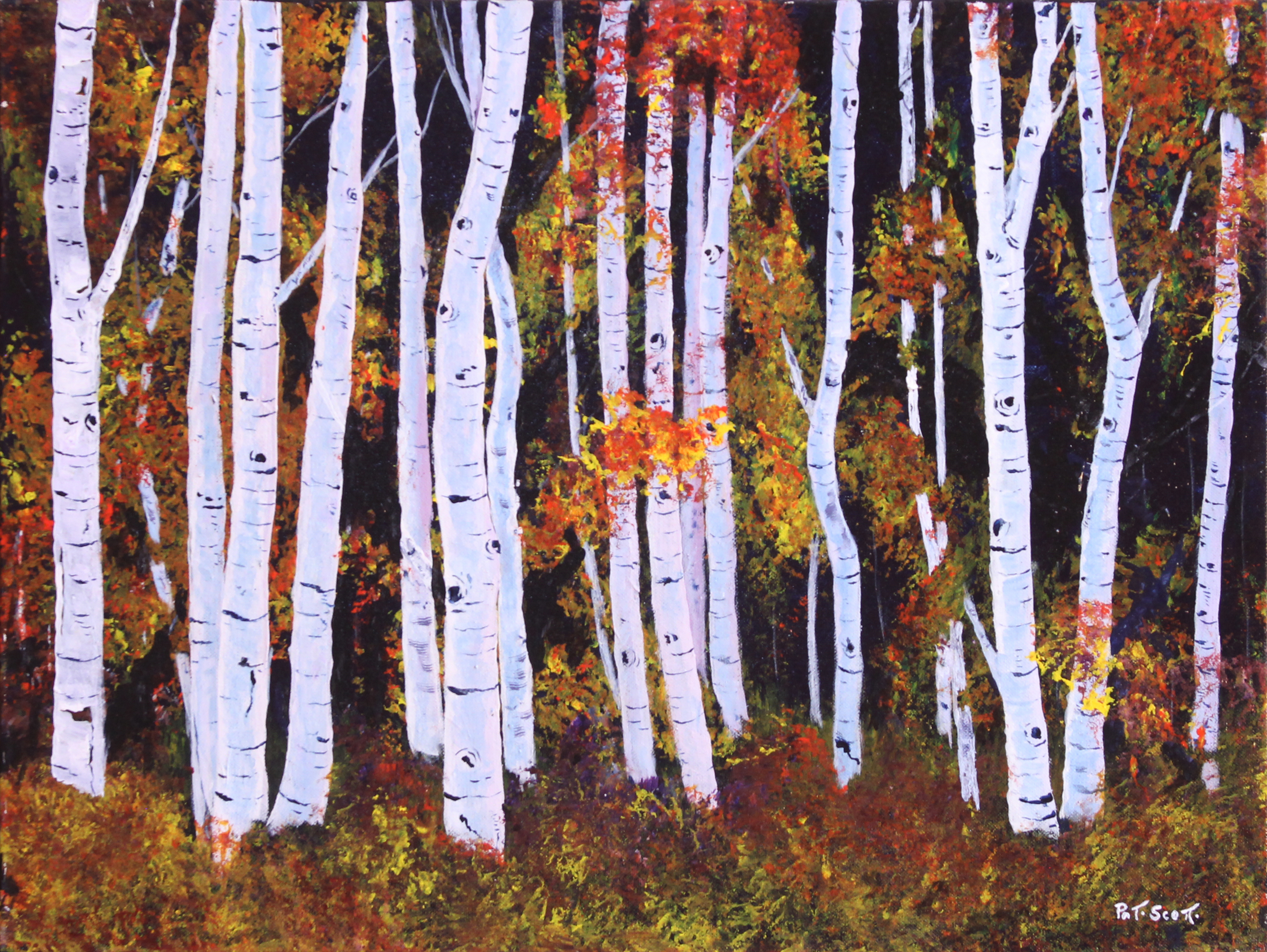 Fall Birch Trees - Birch Painting. 