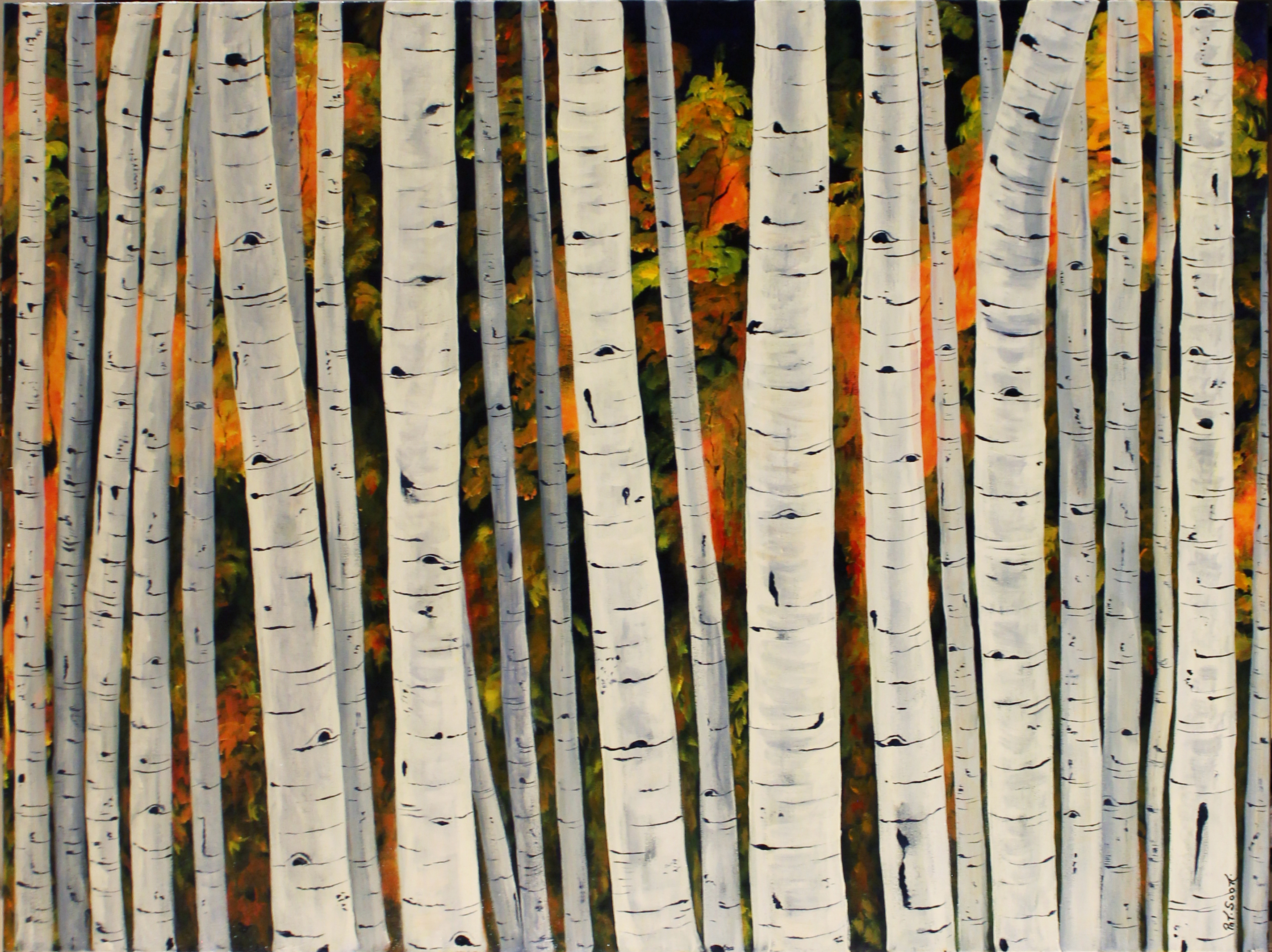 2848x2132 Birch Trees In Fall - Birch Painting
