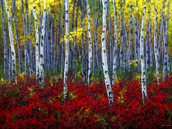 600x449 A Dense Aspen Forest Scene With The Forest Floor Covered - Birch Tree Forest Painting