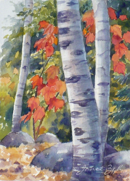 430x600 Zeh Original Art Blog Watercolor And Oil Paintings Paper Birch - Birch Tree Oil Painting