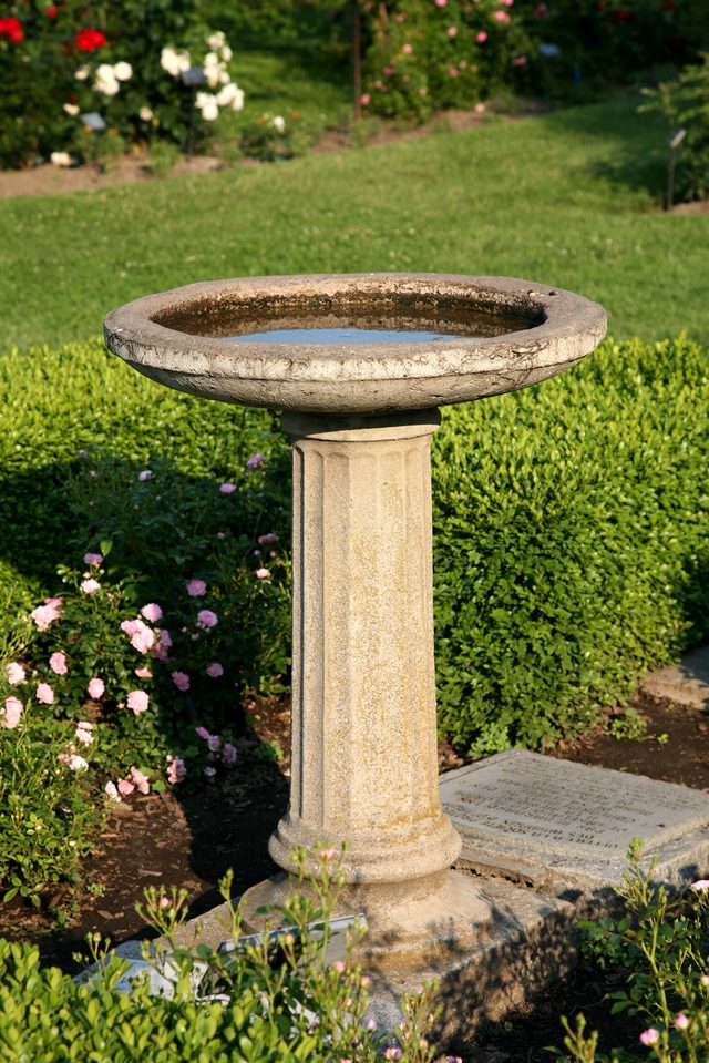 640x959 What Kind Of Paint Do You Use On Concrete Bird Baths Hunker - Bird Bath Painting