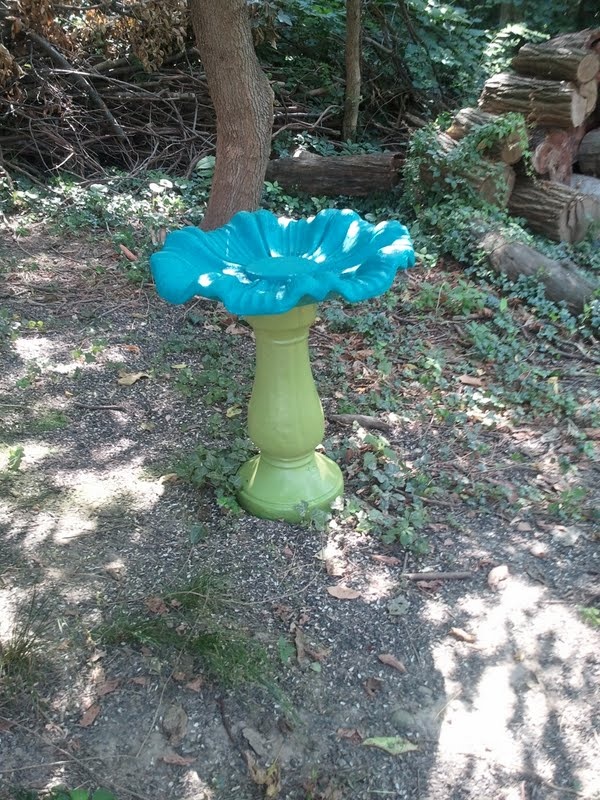 600x800 Bird Bath Paint - Bird Bath Painting