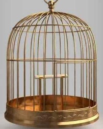 202x254 Some Painting Ideas For Bird Cage Painting Tips And Tutorial - Bird Cage Painting