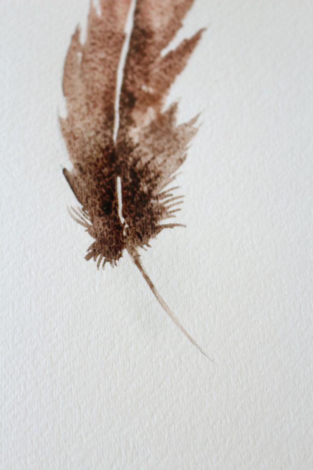 640x960 How To Do A Watercolor Painting Of Bird Feathers Ehow - Bird Feather Painting