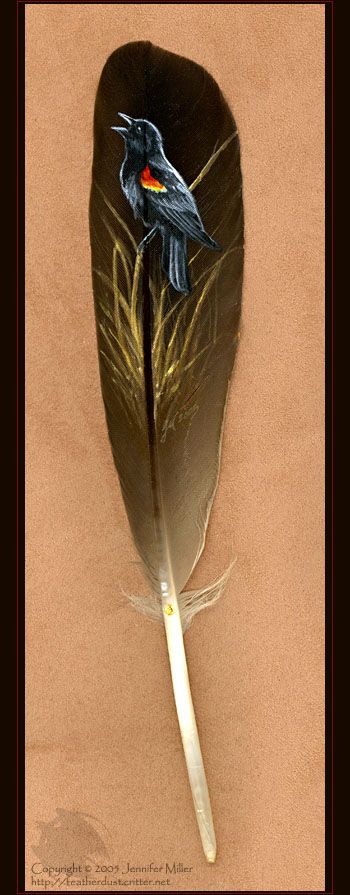 350x895 Photos Painting Feathers On A Bird, - Bird Feather Painting