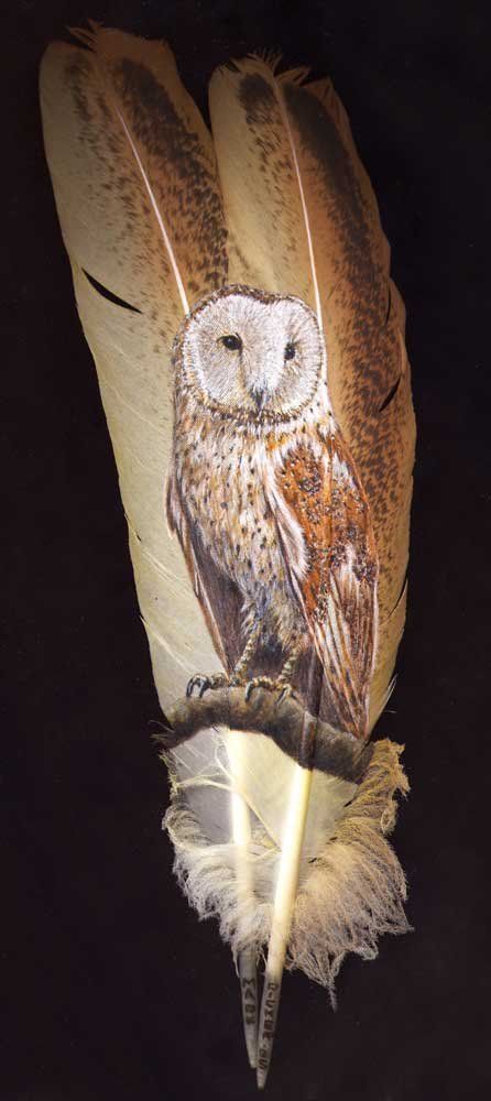 446x1000 The 231 Best Painted Feathers Images On Feather - Bird Feather Painting