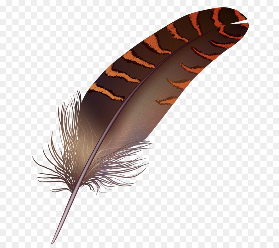 900x800 Bird Feather Quill Paint - Bird Feather Painting