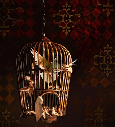 400x439 Bird In A Cage Combine Objects On A Photo With Akvis Chameleon - Bird In Cage Painting