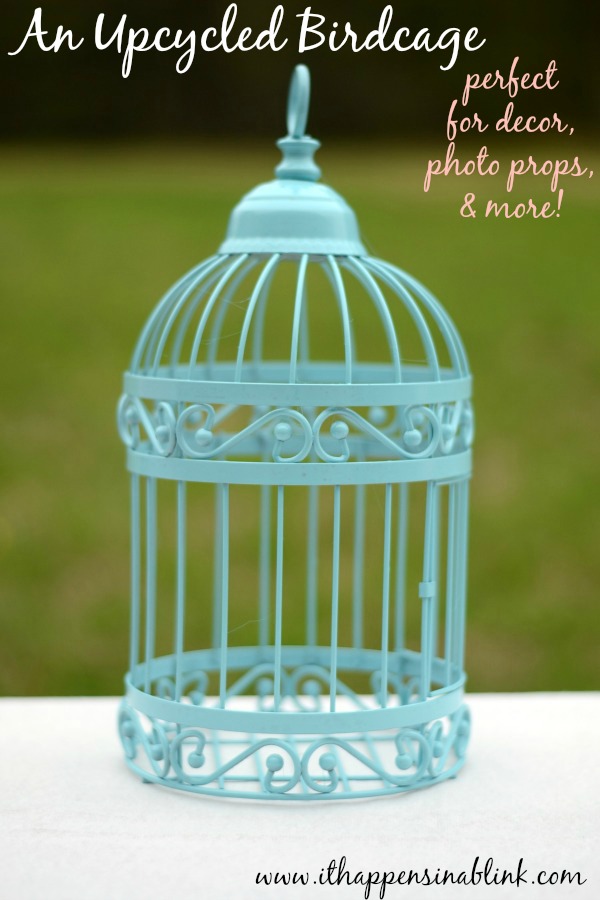 600x900 An Upcycled Birdcage And My First Spray Painting Success - Bird In Cage Painting