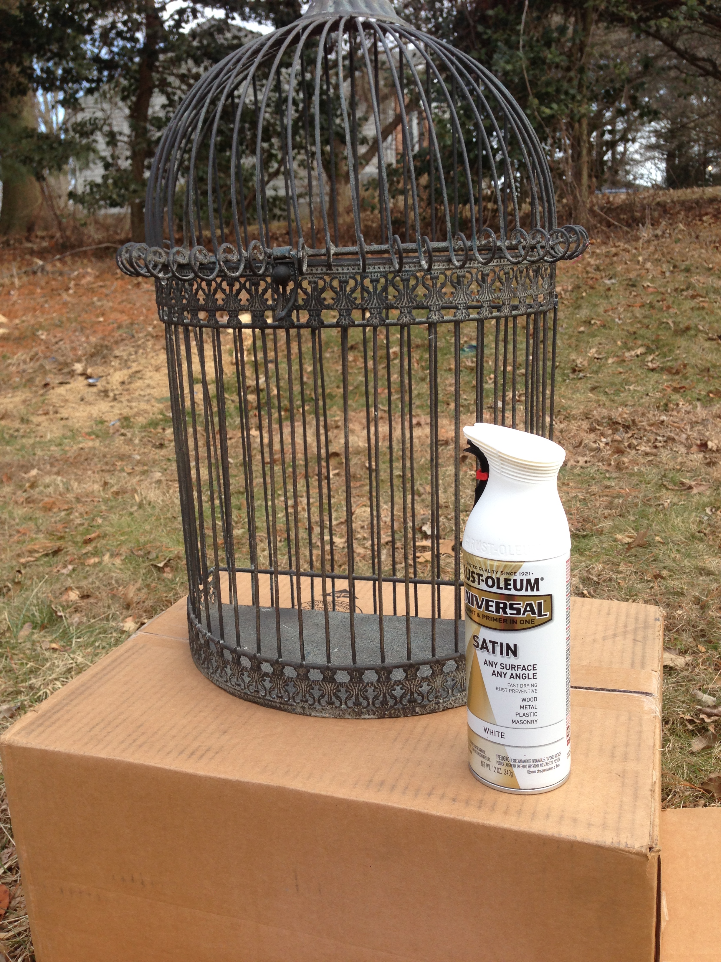 2448x3264 Bird Cage Entrance Table Centerpiece - Bird In Cage Painting