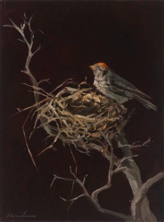 569x768 Edwina Lucas - Bird Nest Painting