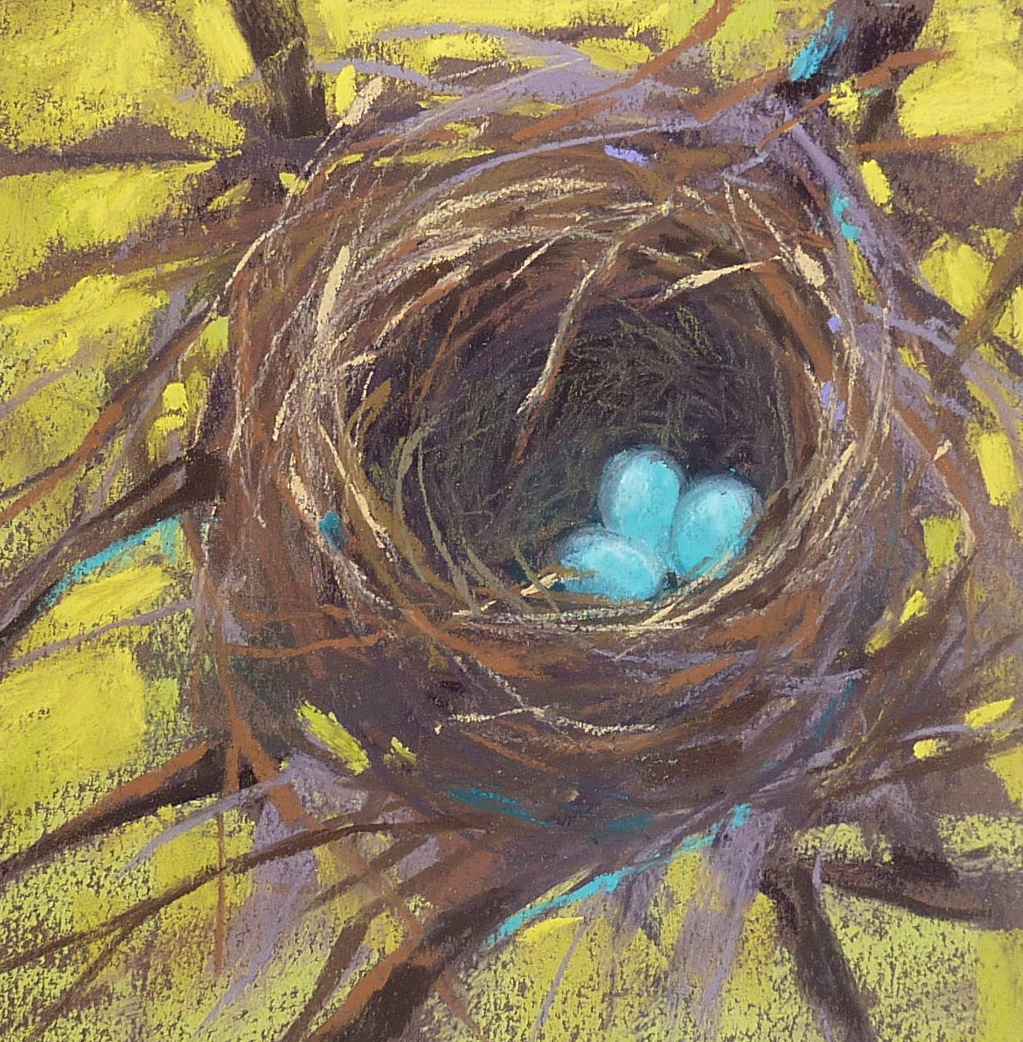 1023x1042 Painting My World Pastel Mini Demo Bird Nest And What Inspired It! - Bird Nest Painting