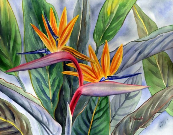 Bird Of Paradise Painting at PaintingValley.com | Explore collection of ...