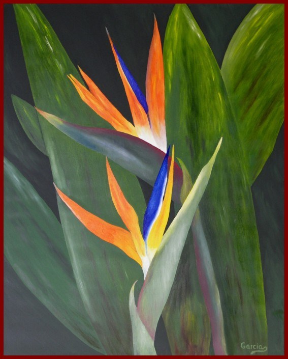 Bird Of Paradise Painting at PaintingValley.com | Explore collection of ...