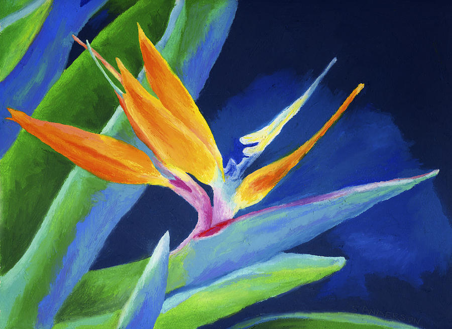 900x655 Bird Of Paradise Painting By Stephen Anderson - Bird Of Paradise Painting
