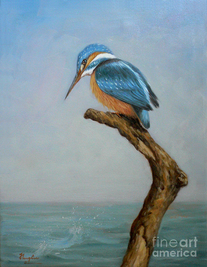 699x900 Original Animal Oil Painting Bird Art Kingfisher On Canvas 16 2 6 - Bird Oil Painting