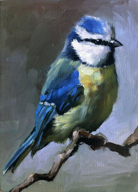 570x793 Blue Tit - Bird Oil Painting