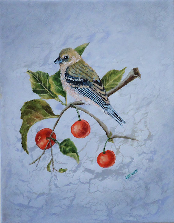 570x730 Paintings Of Birds Of America A Lazuli Bunting On A Cherry Tree - Bird On Branch Painting