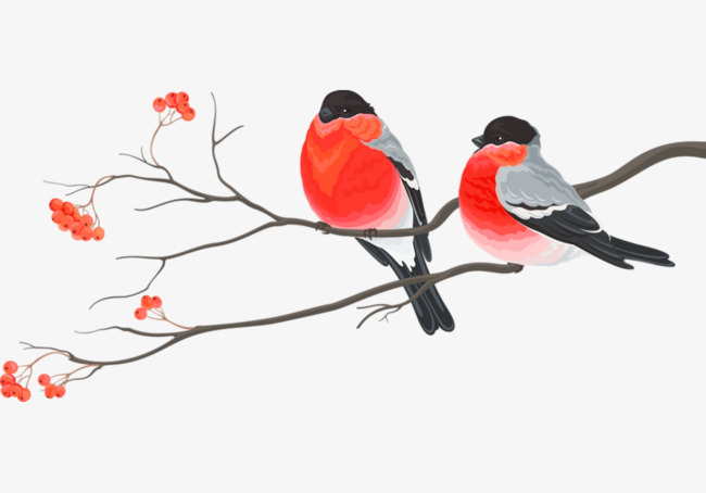 650x454 Two Birds Perched Branch, Two Birds Painting, Creative Birds - Bird On Branch Painting