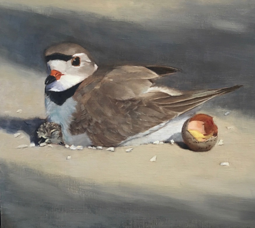 875x783 Bird Paintings Rose Tanner Fine Art Oil Painting Workshops - Bird Painting