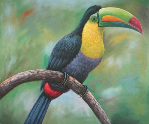 500x417 Bird Painting,birds Oil Paintings,sinoorigin - Bird Painting