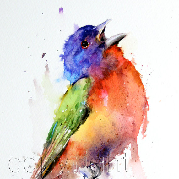 570x570 Painted Bunting Watercolor Bird Print Bird Painting Bird Art - Bird Painting