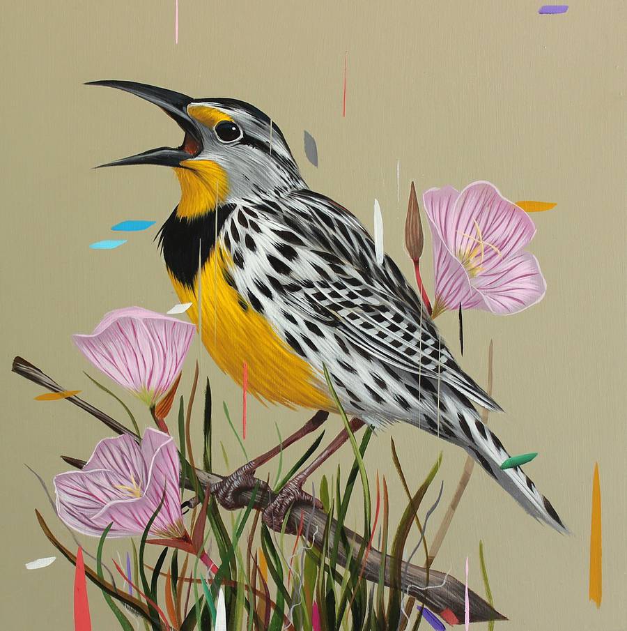 900x905 Paintings Of Birds Sprinkled With Color By Frank Gonzales Colossal - Bird Painting