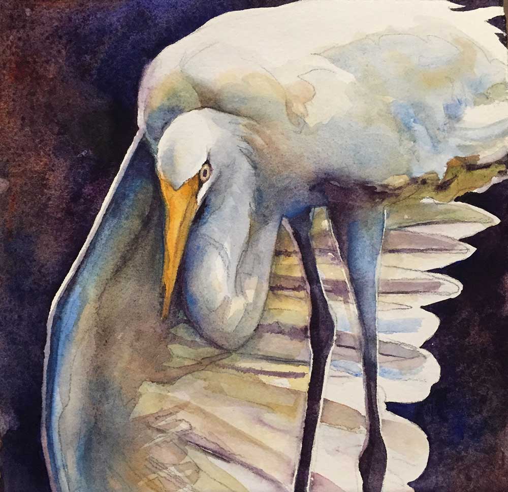 1000x969 Teaching Bird Painting Rene's Rene Eisenbart - Bird Painting