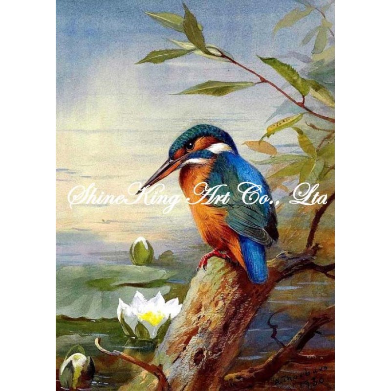 800x800 Handmade Oil Painting On Canvas Realistic Bird Painting Bird1144 - Bird Painting