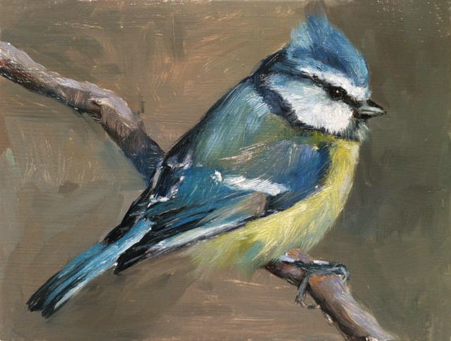 641x484 Beautiful Bird Painting Hairstyles Beautiful Birds - Bird Painting
